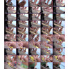 AT BEACH CANDIDS 369A BIKINI WOMEN FEET SOLES LEGS CLOSE UPS